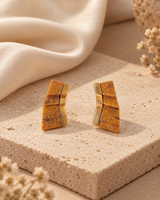 Rivetta Earrings in Brown