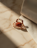 Coral Claw Brooch in Glass